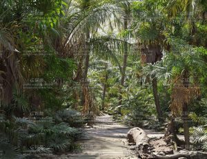 Maxtree植物模型包148 Blend资产库