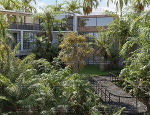 Maxtree植物模型包154 Blend资产库