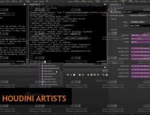 Rebelway Houdini Python编码的终极指南培训课程