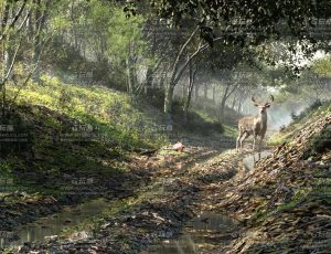 Houdini Solaris USD和环境工作流程