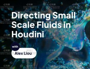 Houdini创建艺术化小规模流体大师课