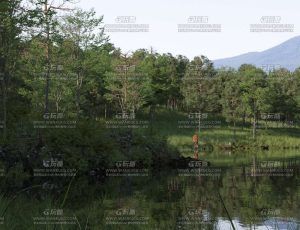 自然景观C4D工程源文件