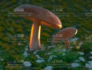 蘑菇场景C4D工程源文件