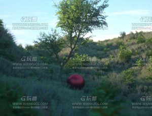 小山坡景观C4D工程源文件