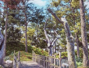 森林场景C4D工程源文件