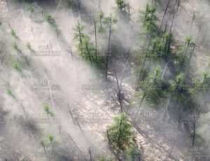 云海森林C4D工程源文件