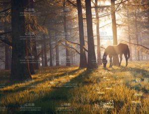 日光麋鹿C4D工程源文件