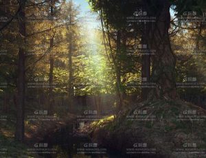 森林老树C4D工程源文件