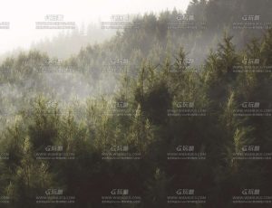 群山深林C4D工程源文件