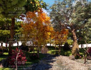 小树林场景C4D工程源文件