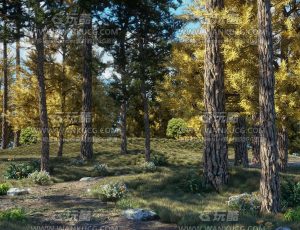 森林小路场景C4D工程源文件