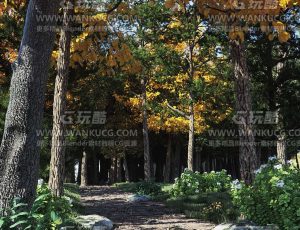 小森林场景C4D工程源文件