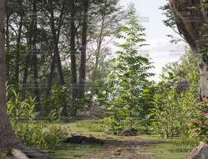Maxtree植物模型包27 Blend资产库