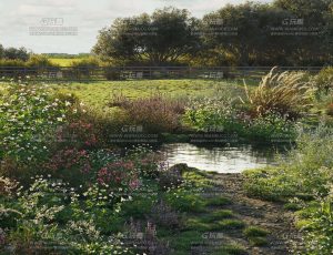 Maxtree植物模型包49 Blend资产库