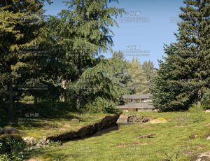 Maxtree植物模型包67 Blend资产库