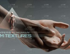 影视级绑定手臂Blend模型