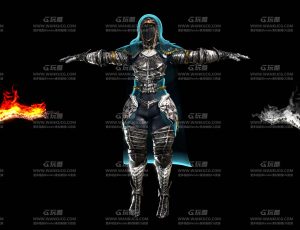 双刀蒙面骑士杀手Blend模型