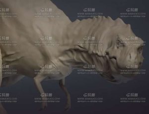CGMA动物生物雕刻解剖学大师班
