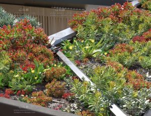 Maxtree植物模型包14Blend资产库