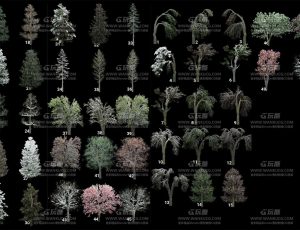 树模型包Blend资产库