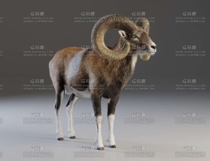 电影级VFX动画高精度大角羊盘羊Blend模型