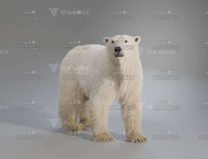 电影级VFX动画高精度北极熊Blend模型