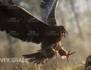 电影级VFX动画高精度雄鹰老鹰Blend模型