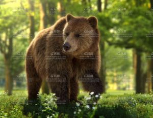 电影级VFX动画高精度棕熊Blend模型