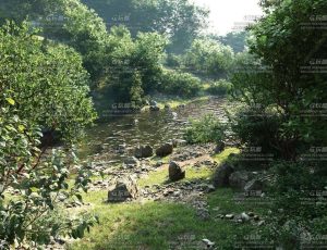 Maxtree植物模型包6Blend资产库