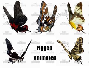 带动画的蝴蝶包C4D模型