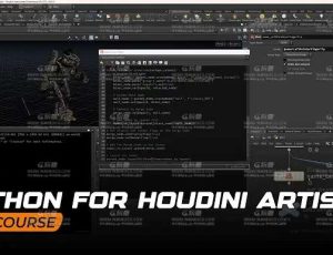 Rebelway Houdini艺术家的Python培训课程