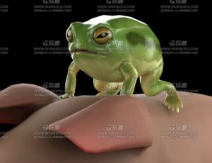 青蛙和小猪Blend模型