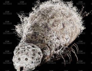 蜘蛛怪Blend模型