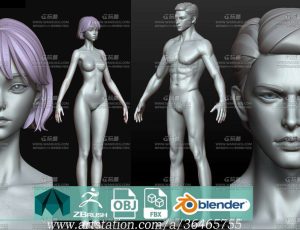 动漫美型男女角色基础模型Blend模型