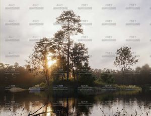 清晨湖边河流小溪场景Blender工程源文件