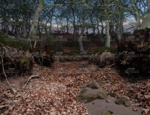 枯枝败叶树林Blender工程源文件