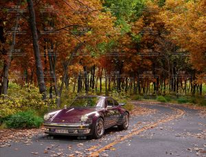 秋季道路汽车场景Blender工程源文件