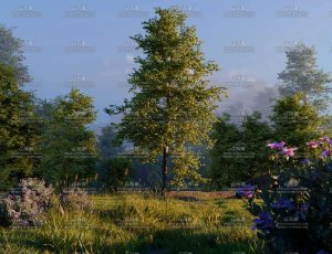 自然树木花草场景Blender工程源文件