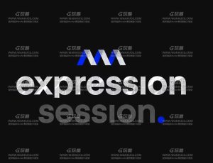 AE表达式动画大师班