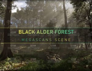 UE5写实植物森林场景创建大师课程