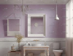 欧式风格厕所环境