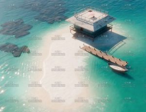 夏日海滩小场景