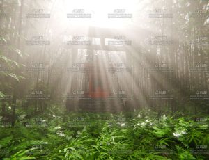 写实日本神庙竹林场景