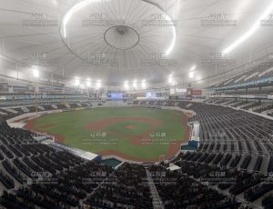 棒球比赛场馆13
