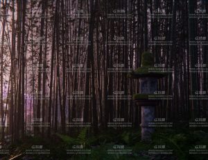 日本阶梯路竹林