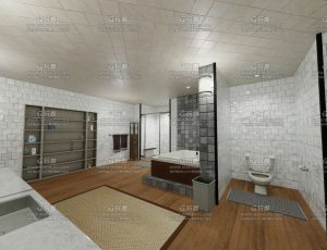 豪华大厕所浴室