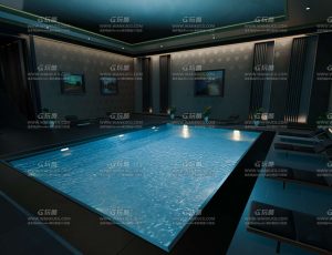 高档富人泳池室
