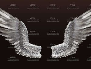 C4D高精度羽毛翅膀