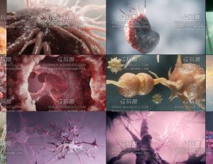 C4D影视CG级细胞资产预设