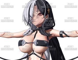 少女前线指挥官